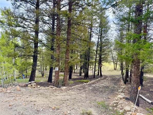 2886 Redhill Rd, Fairplay, CO 80440