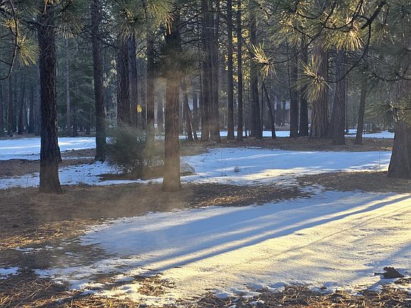 2nd image of 14790 Lichen Way