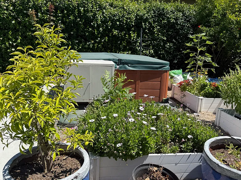 Raised garden beds and spa.