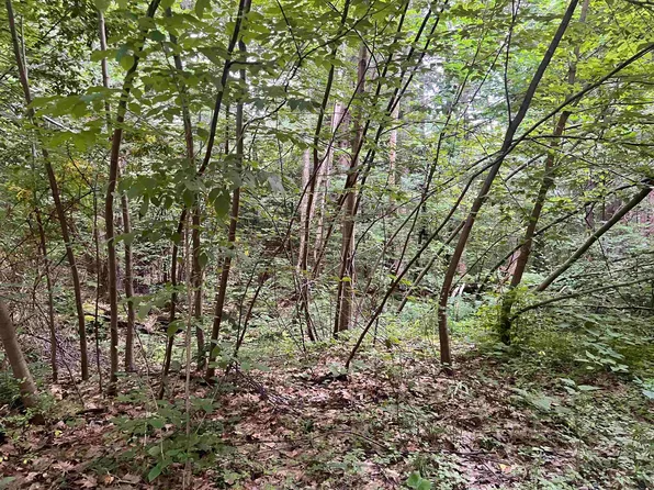 00 Esty Road, Westmoreland, NH 03467