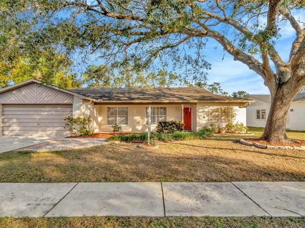 3826 Highgate Dr, Valrico, FL 33594