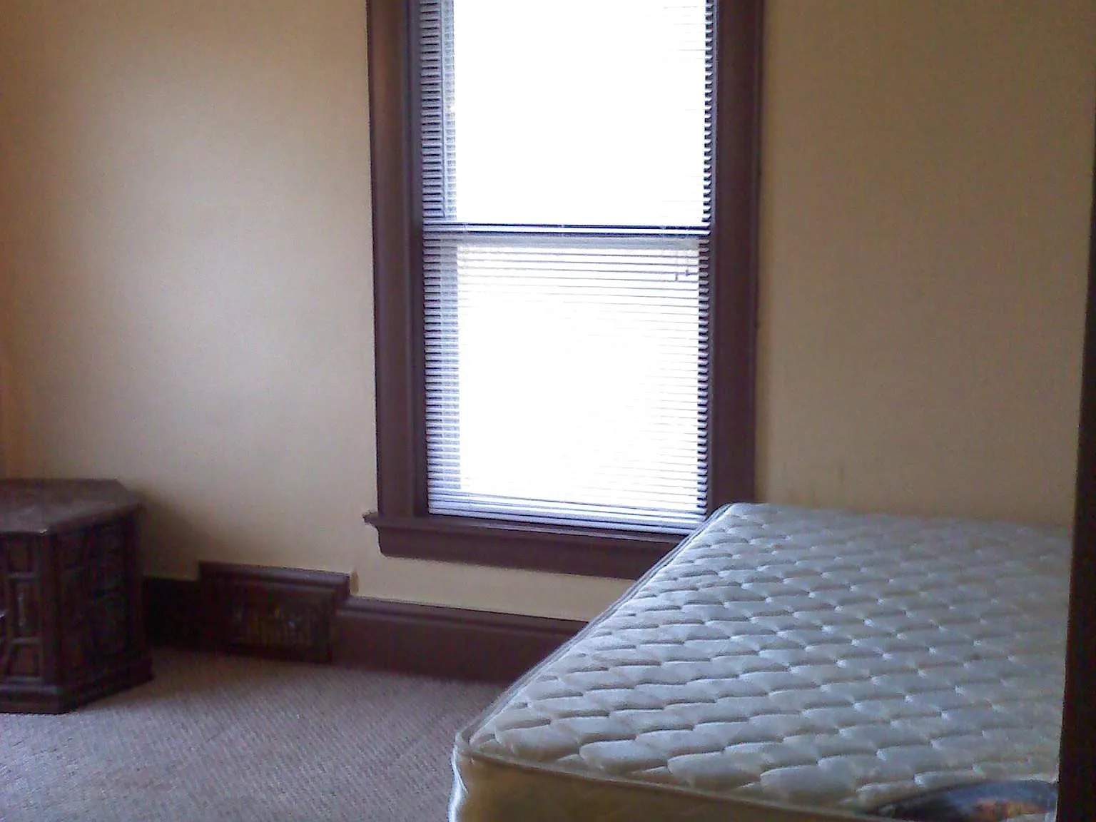 1 bed, 150 sqft, $425 — Photo 3