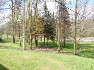 841 Owego Rd, Candor, NY 13743