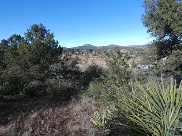 1022 W Luck St, Silver City, NM 88061