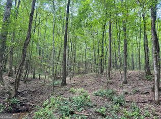 9958/AC Peace Ln, Franklin, GA 30217