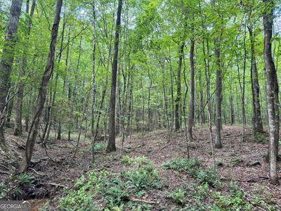 9958/AC Peace Ln, Franklin, GA, 30217