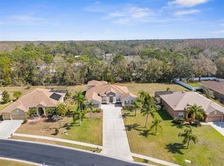 1824 Mountain Ash Way, New Port Richey, FL 34655