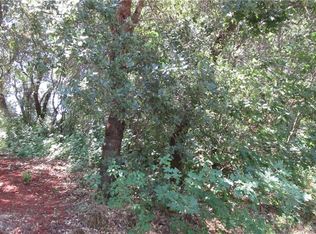 16411 Dam Rd, Clearlake, CA 95422