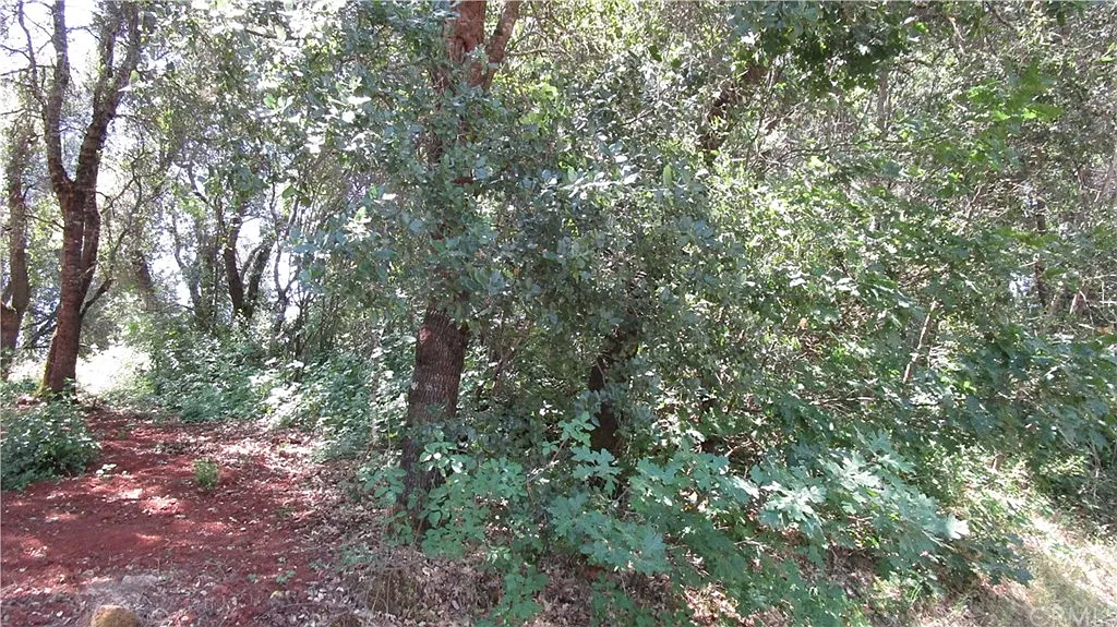 16411 Dam Rd photo 1