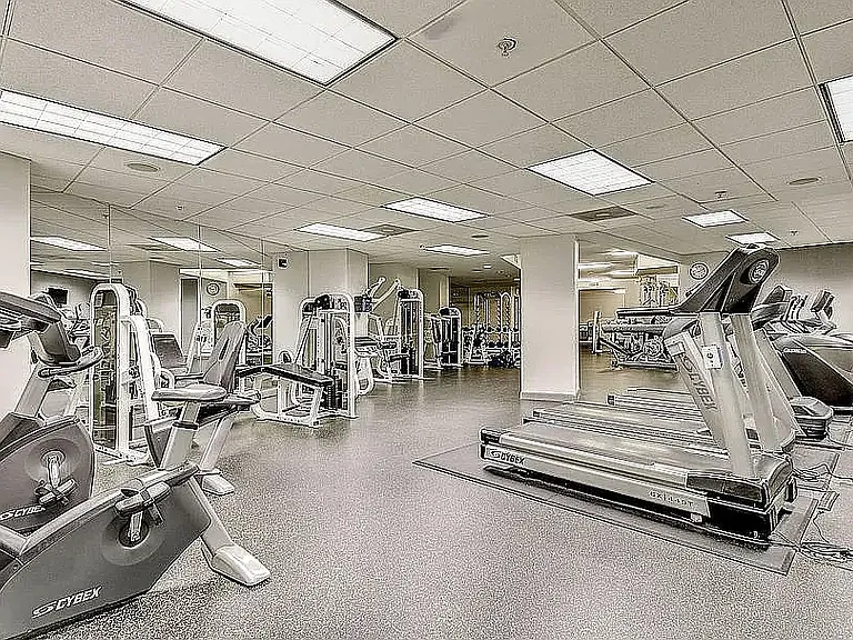 Gym located on the 3rd floor of the building. Includes various equipment such as treadmills, dumbbells, cable machine, Smith machine, and rowing machine.