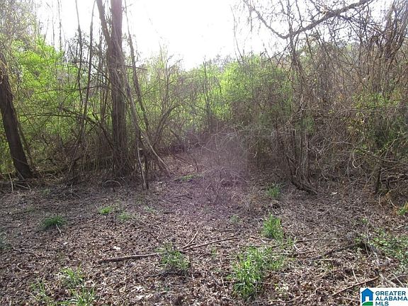 5th image of 7150 Cavern Rd