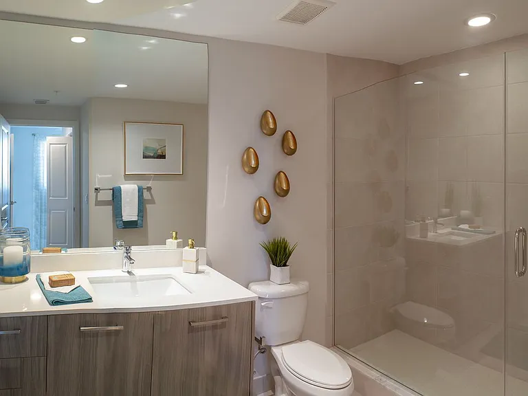 Model Apartment Bathroom