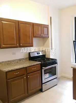 Rented by Absolute Properties of NYC | media 14