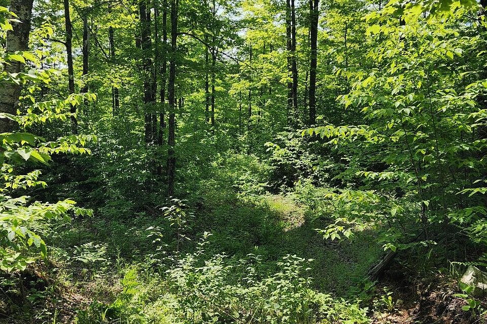 1st image of 320 Trophy Ln