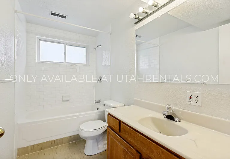 262 E 1165 N — Photo 19