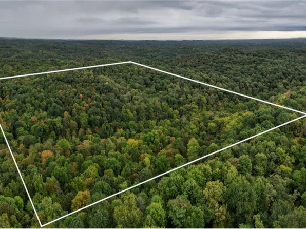 0 Edwina Rd, Lewisville, OH 43754