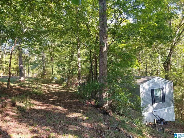 421 River Hill Ln, Adger, AL 35006