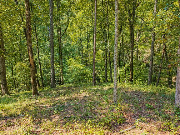 3rd image of LOT 344 Lower Knoll Ct