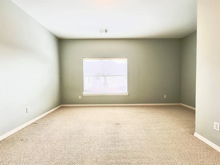 3819 Rivermoss Ln — Photo 12