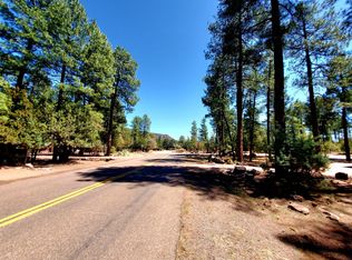 87 N Mistletoe Dr, Pine, AZ 85544