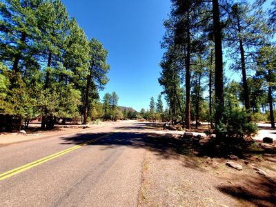 87 N Mistletoe Dr, Pine, AZ, 85544
