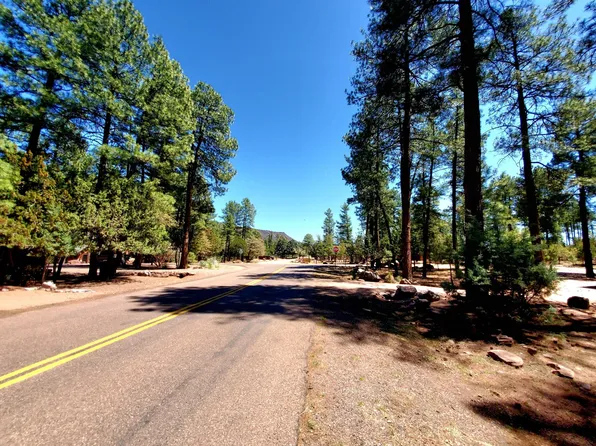 87 N Mistletoe Dr, Pine, AZ 85544