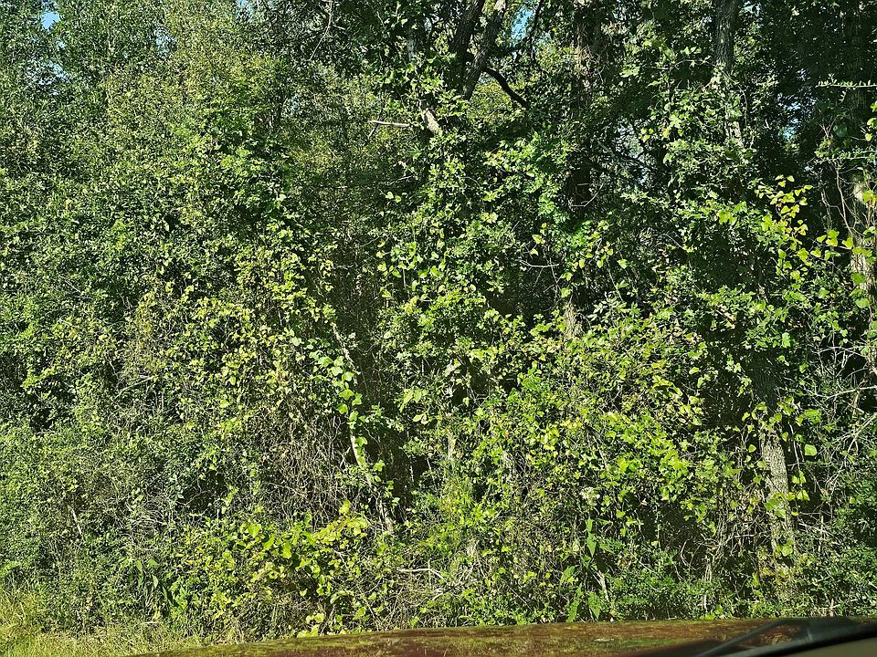 2nd image of Tbd Woodfarm Rd