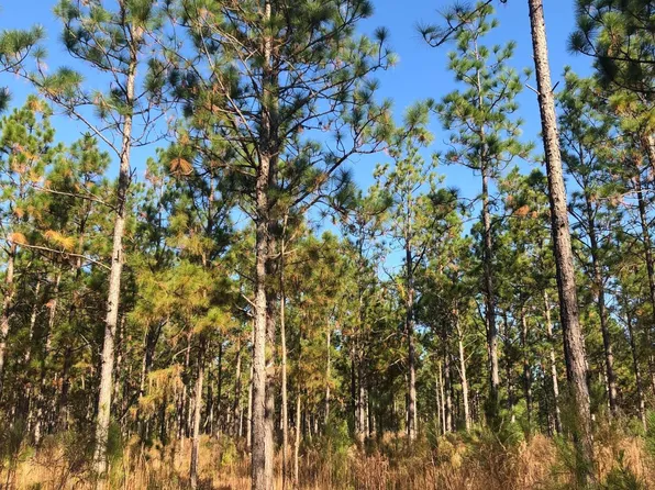 1400 Mount Olive Rd, Dublin, GA 31021