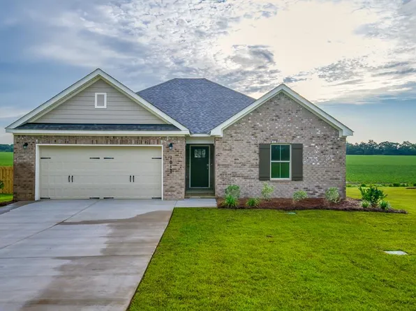1017 Sandbed Rd, Newton, AL 36352