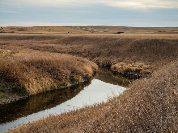 5th image of 1905 10th St NW