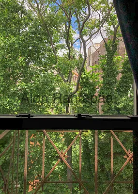 Rented by (Legacy) NY Quality Living Uptown | media 7