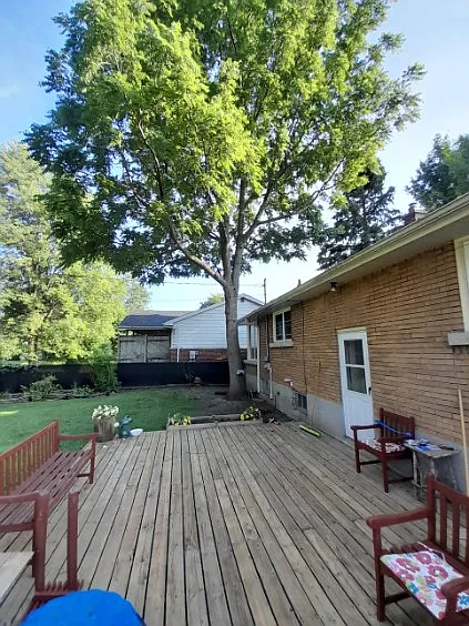 159 McMichael St — Photo 12