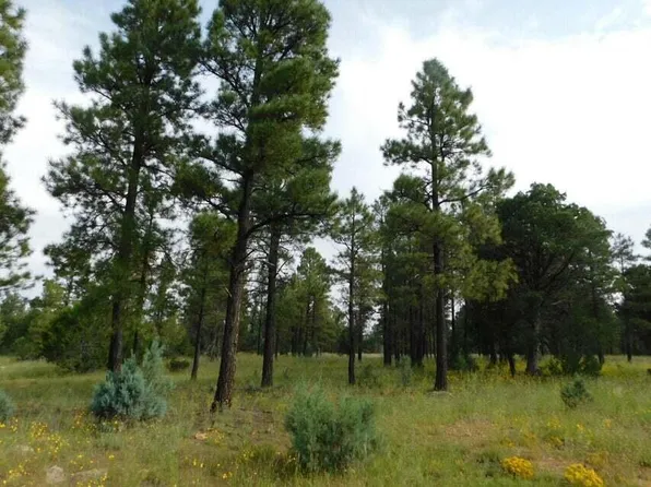 0 Coconino Forest Rd #Fr-137a, Happy Jack, AZ 86024