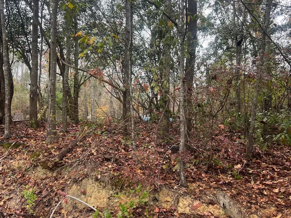 0 Evergreen Cir, Gordon, GA 31031