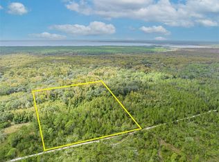 Underhill Branch Rd LOT 47, Osteen, FL 32764