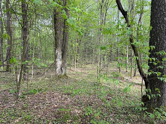 3rd image of Kellogg Hill Rd