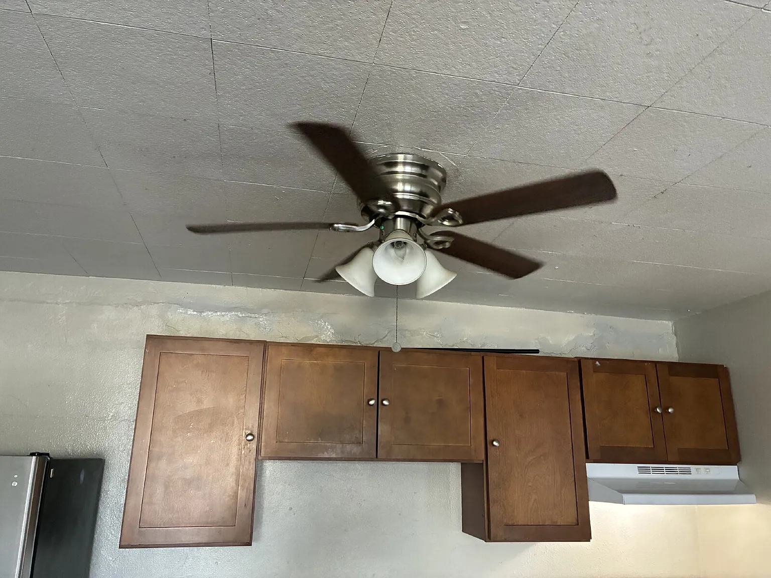 1 bed, 1.0 bath, 558 sqft, $695 — Photo 2