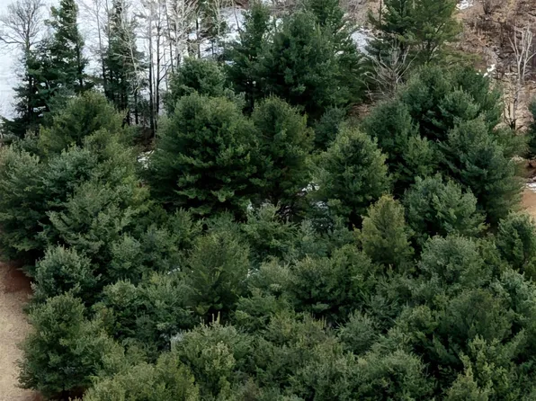 LOT 20 Queens Way, Gladwin, MI 48624