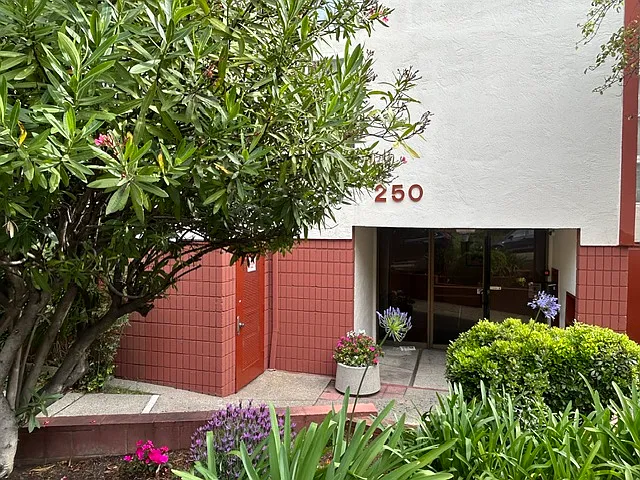 250 Whitmore St #301 — Photo 2