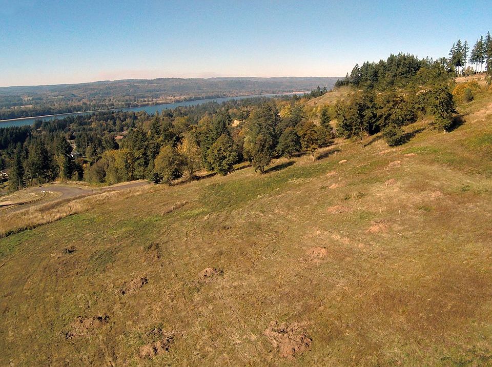 2nd image of 111 Wilson Ridge Rd