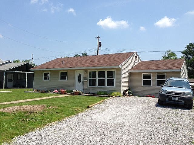 Newly planted spring flowers
