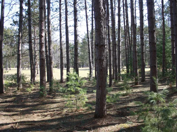 Pine Grove Cir #166-167, Minocqua, WI 54548
