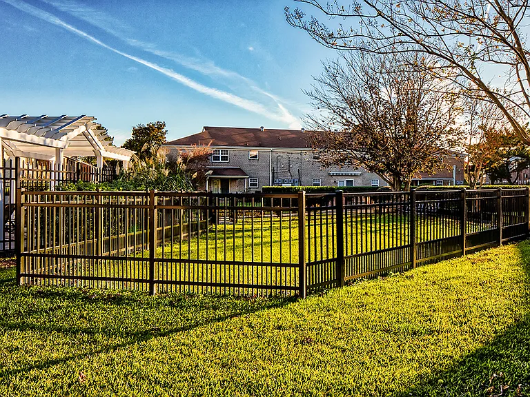 Bark Park