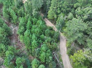 2 Bracewell Cemetary Rd, Livingston, TX 77351