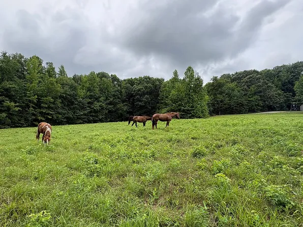 3032 Black Dog Run, Cedar Grove, NC 27231