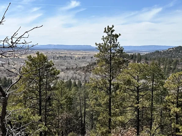 3 Forks Rd, Chama, NM 87520