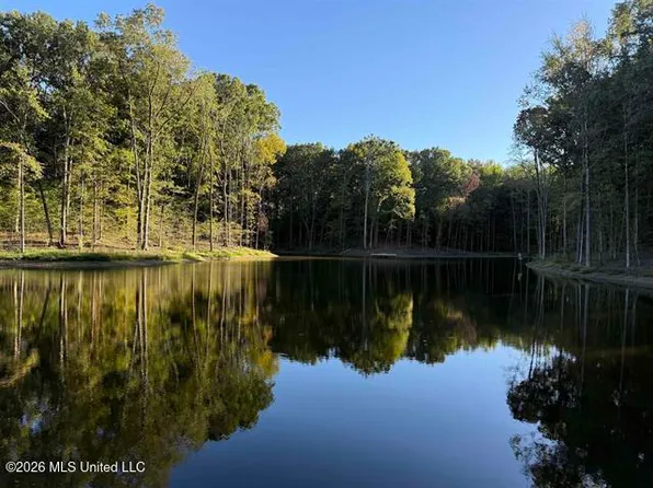 9171 N Collierville Arlington Rd, Arlington, TN 38002