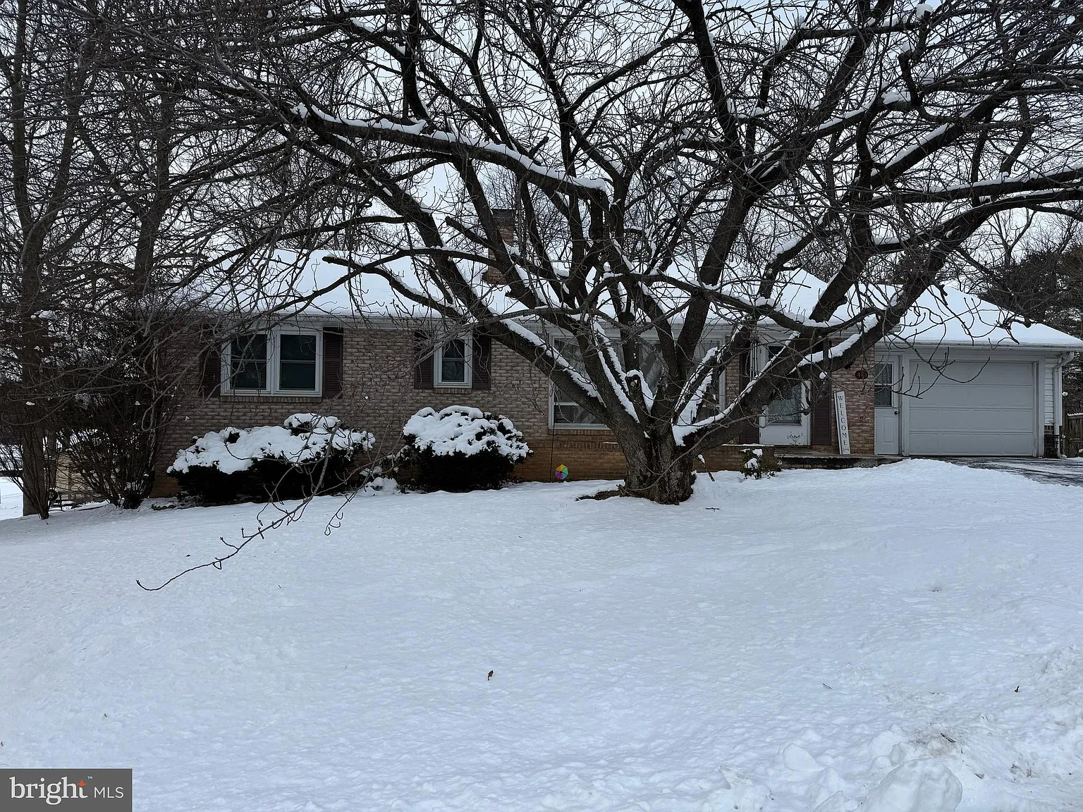 445 Hickory Ln photo 1