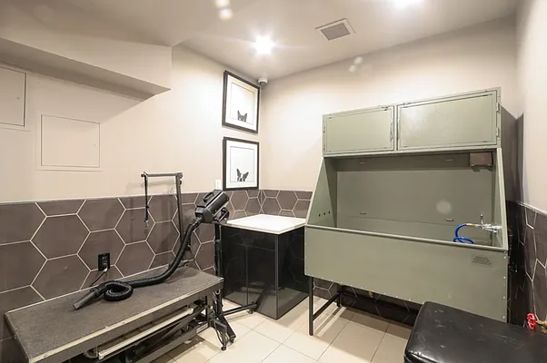 Rented by REZI | media 54