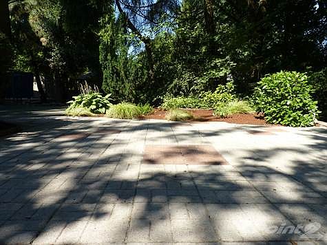Patio Area